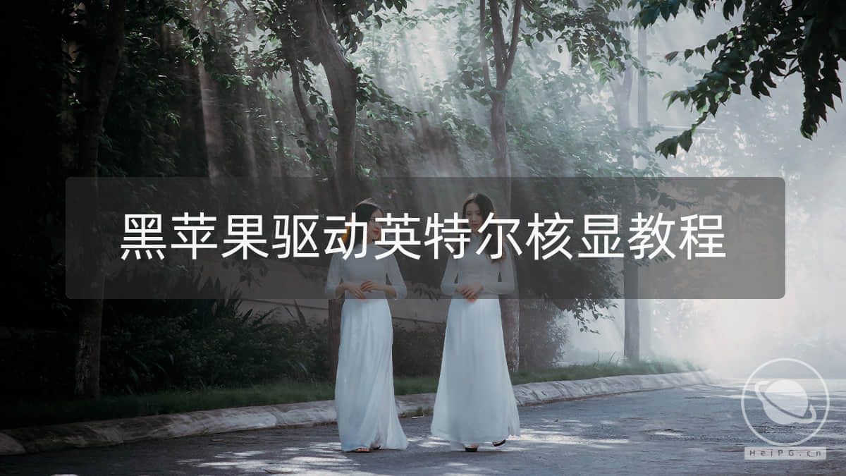 驱动英特尔核显，让黑苹果流畅运行「OpenCore专门篇」