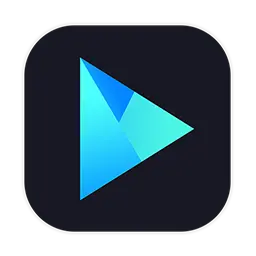 蓝光和4K播放器：Vidmore Video 1.0.52