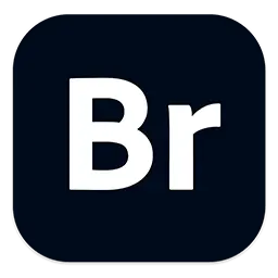 Adobe创意工具资源管理器：Adobe Bridge 2024 v14.0.3 中文版支持M1/M2/M3「MonterGroup版」